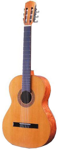 Raimundo 104B Spruce